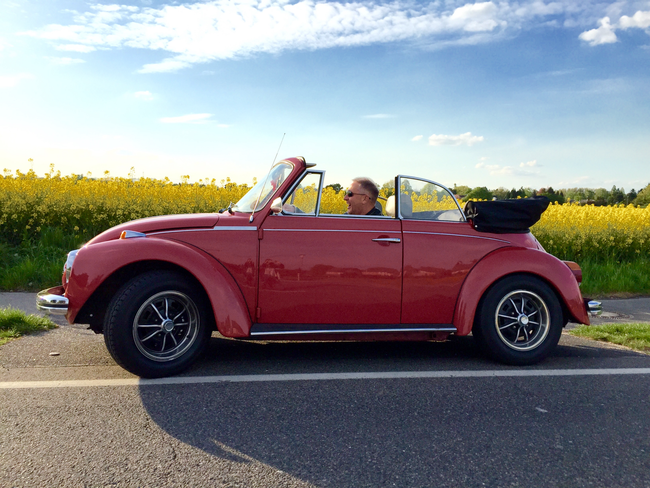 Valentin, rotes VW Käfer Cabrio Baujahr 1973, bei einer Ausfahrt am Rapsfeld