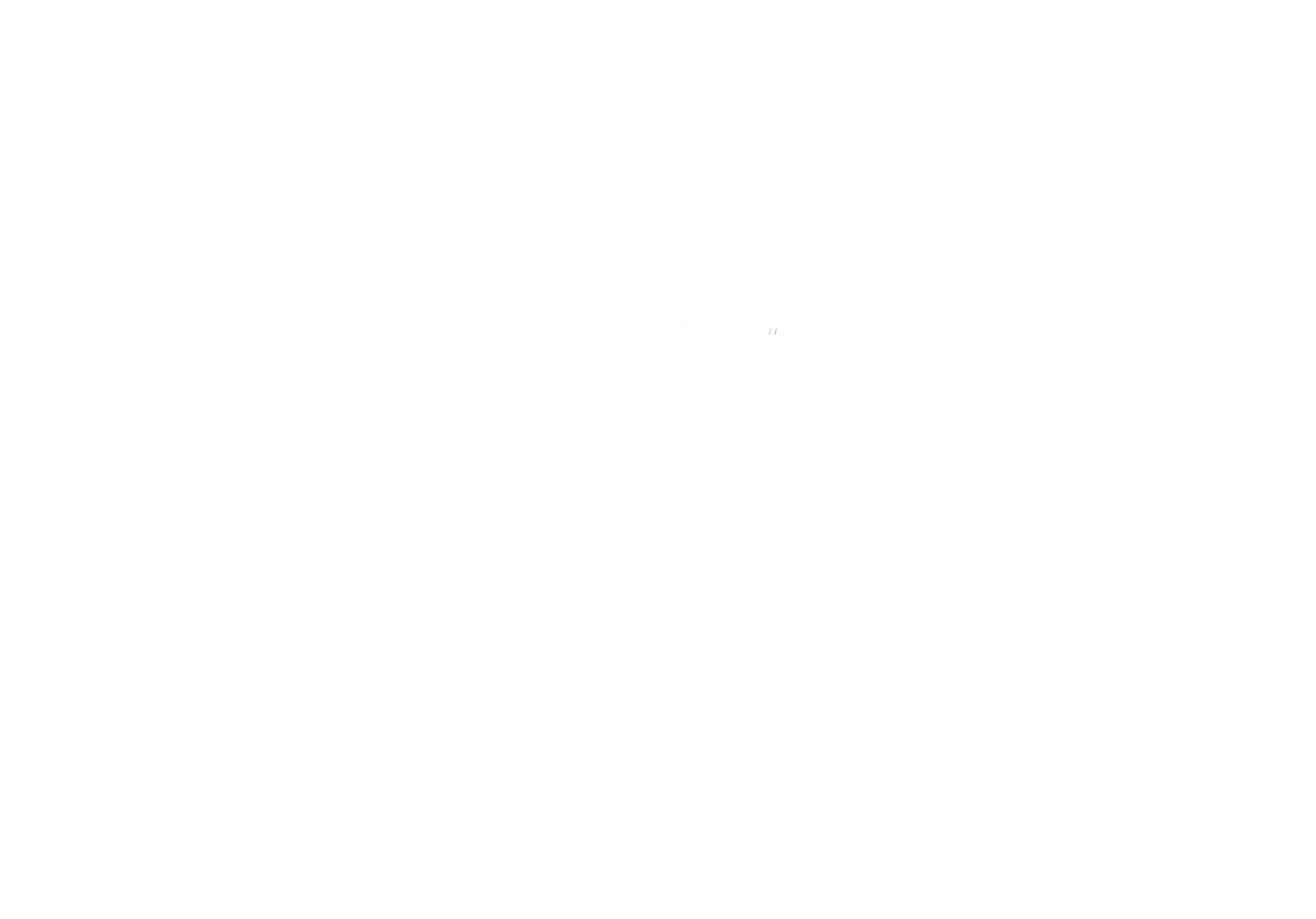 Valentin Logo